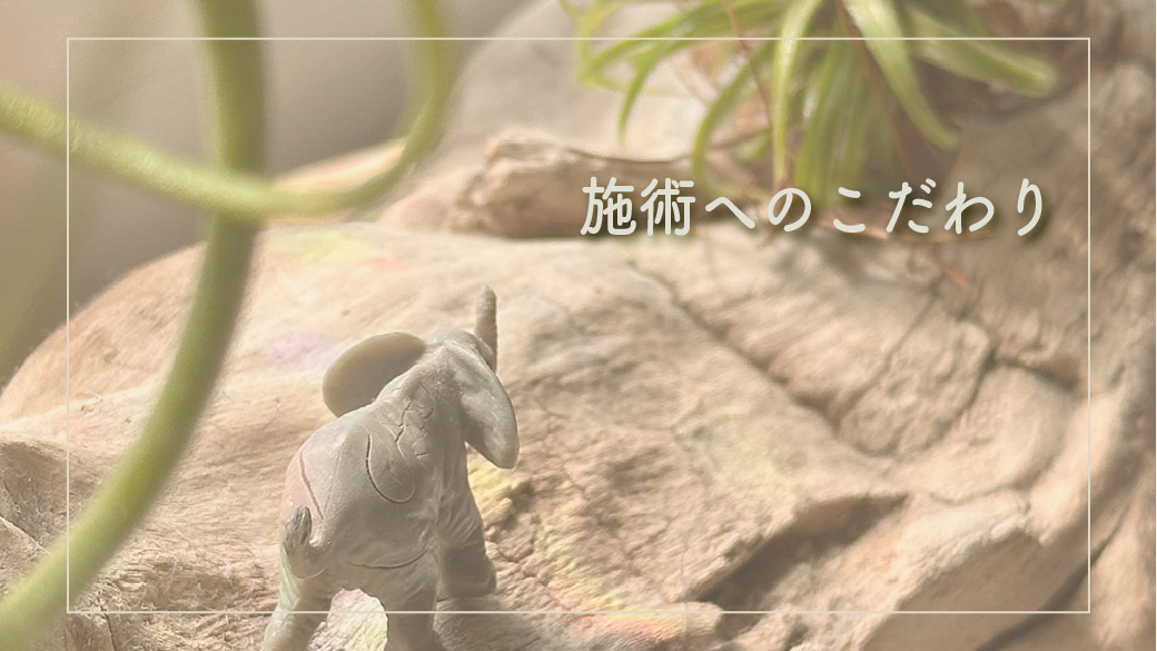 施術のこだわり