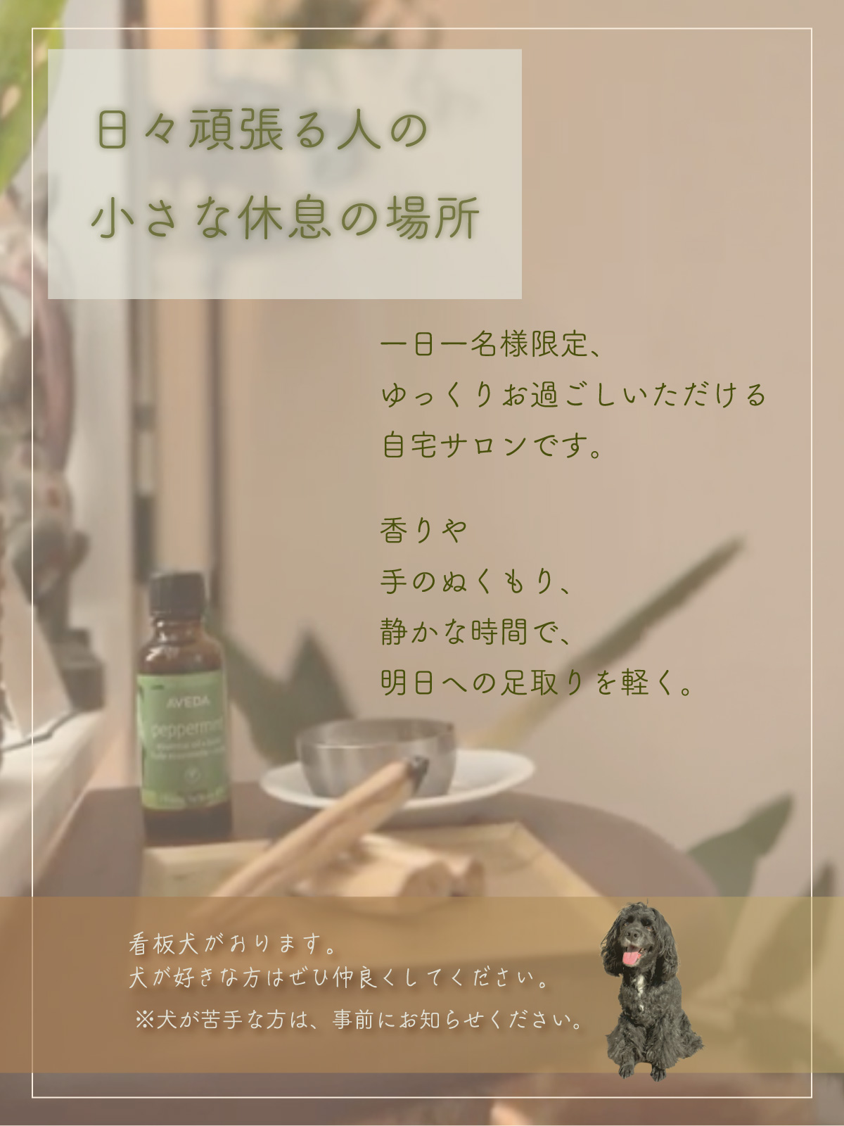 サロンのこと